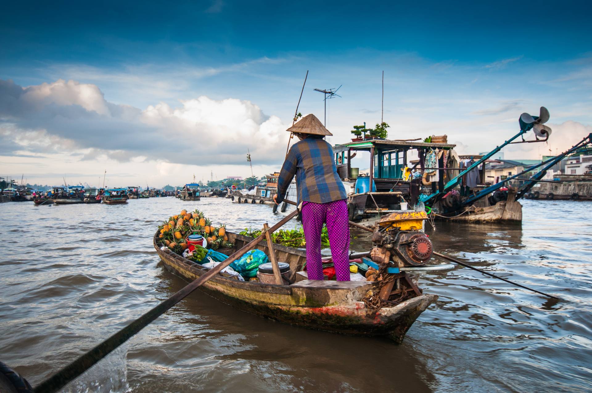 Đang cập nhật