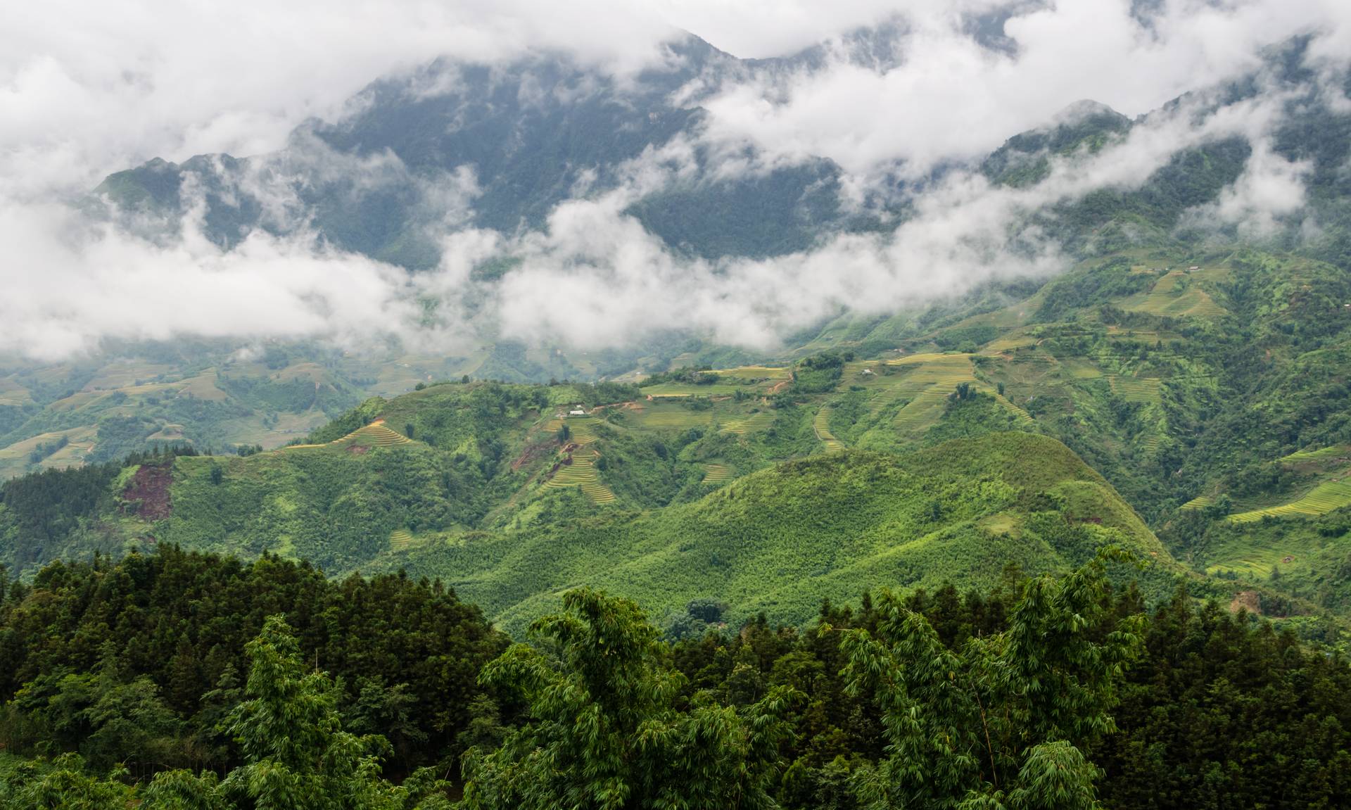 Đang cập nhật