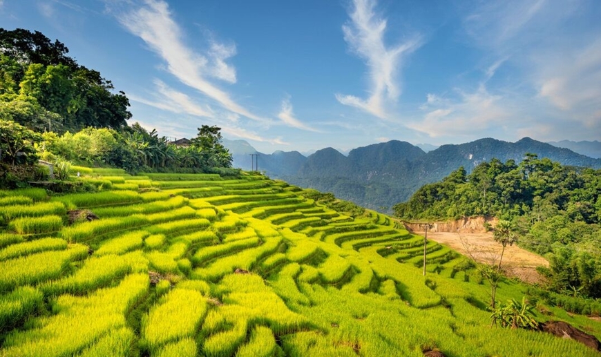 Đang cập nhật